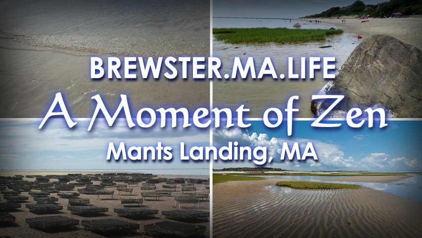 Mants Landing Cape Cod